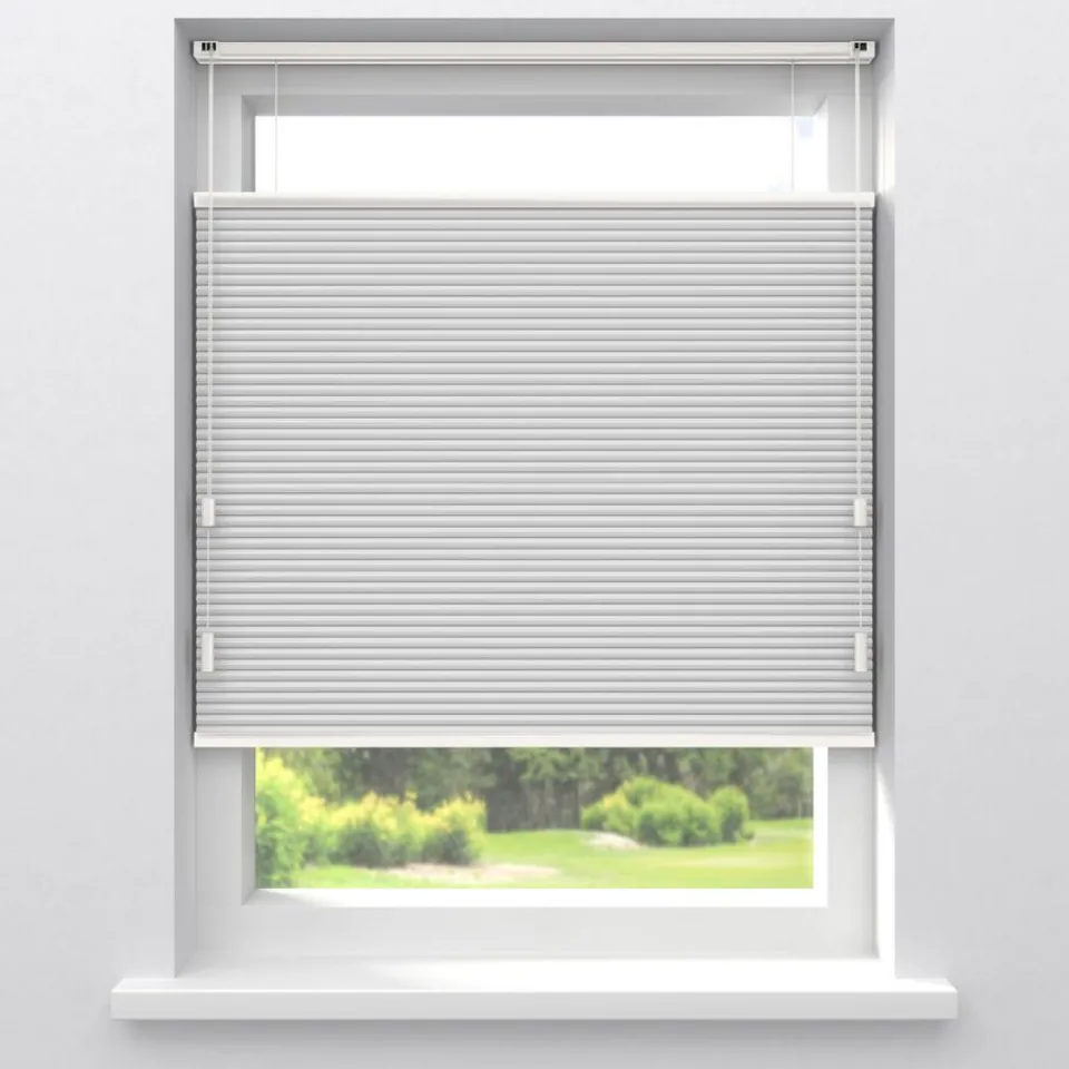 Kwantum Fenstr Dubbel Plissé Elsa Verduisterend