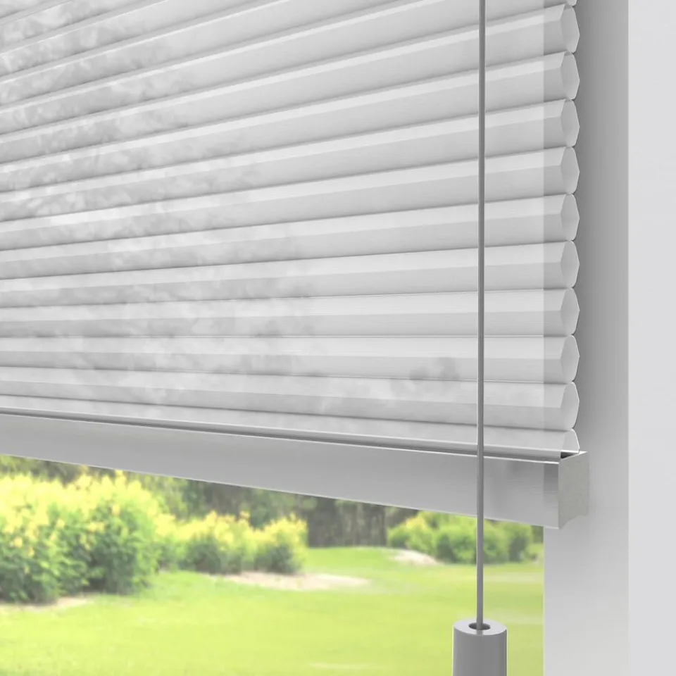 Kwantum Fenstr Dubbel Plissé Lizzy Lichtdoorlatend