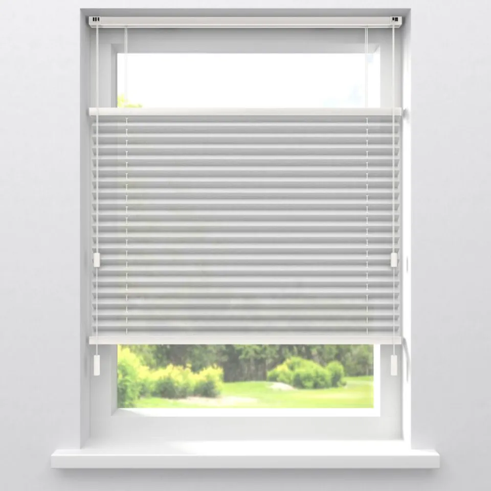 Kwantum Fenstr Plissé Lina Transparant