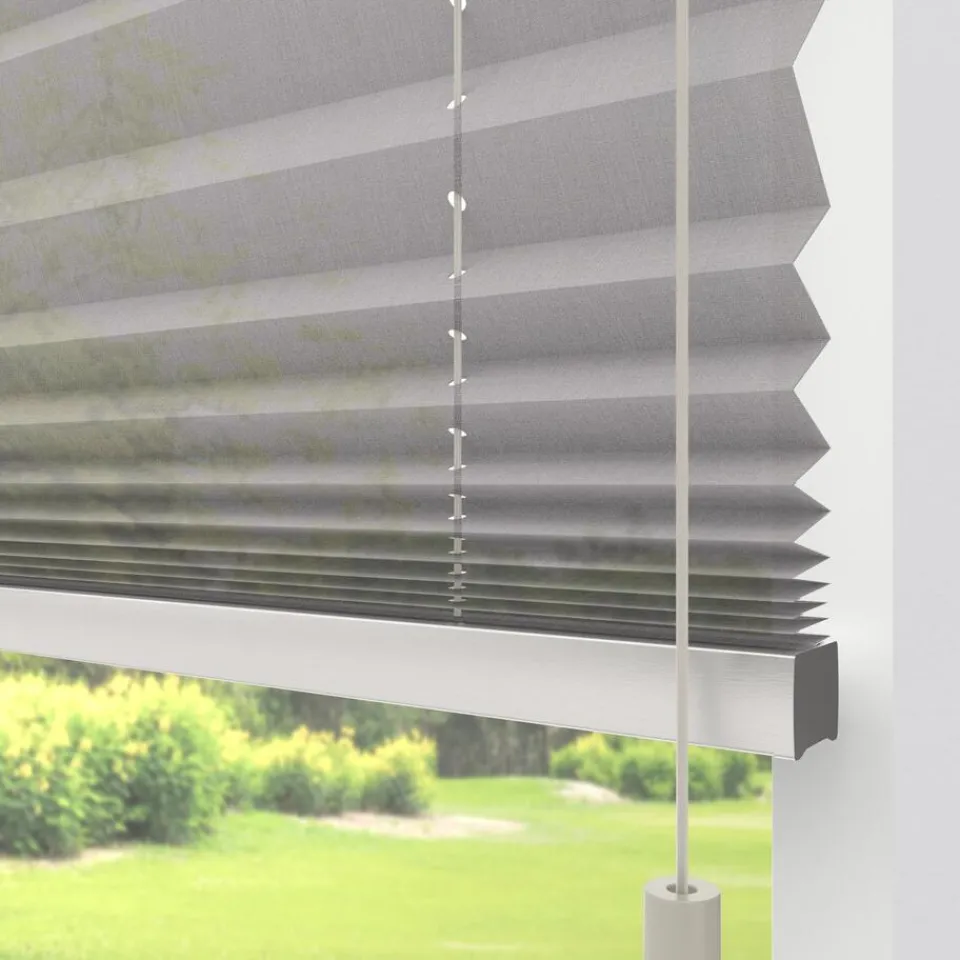 Kwantum Fenstr Plissé Lise Lichtdoorlatend