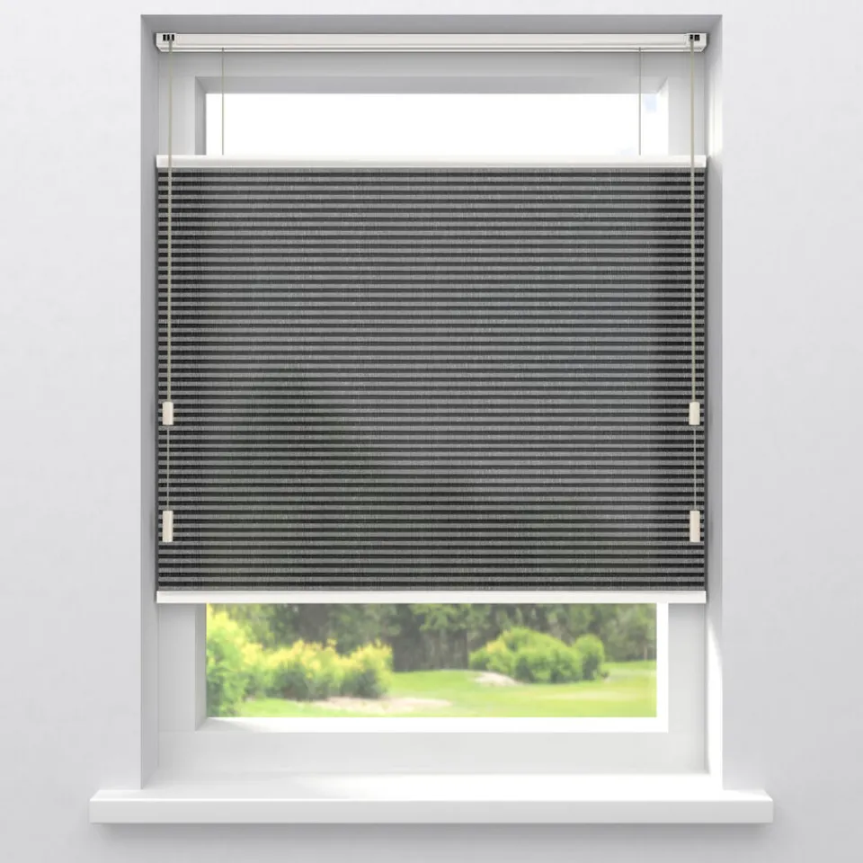 Kwantum Fenstr Plisségordijn Raya Lichtdoorlatend