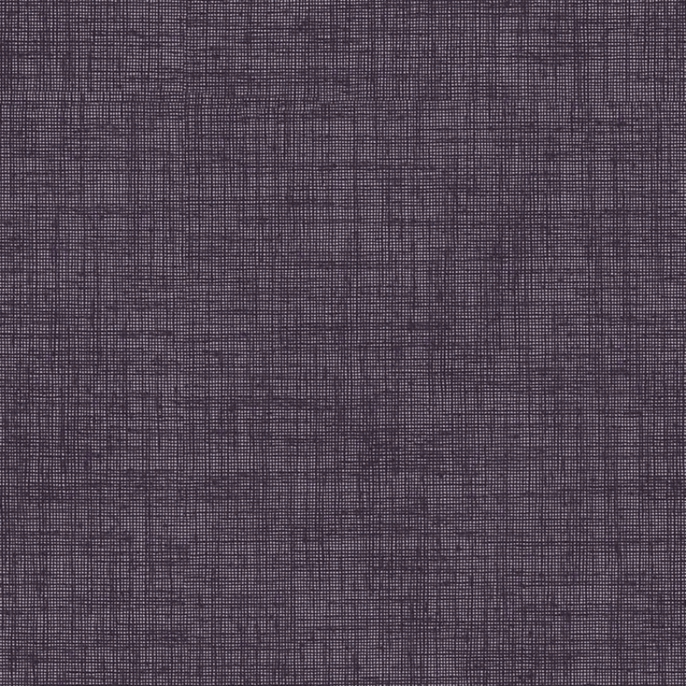 Kwantum Fenstr Rolgordijn Febe Transparant