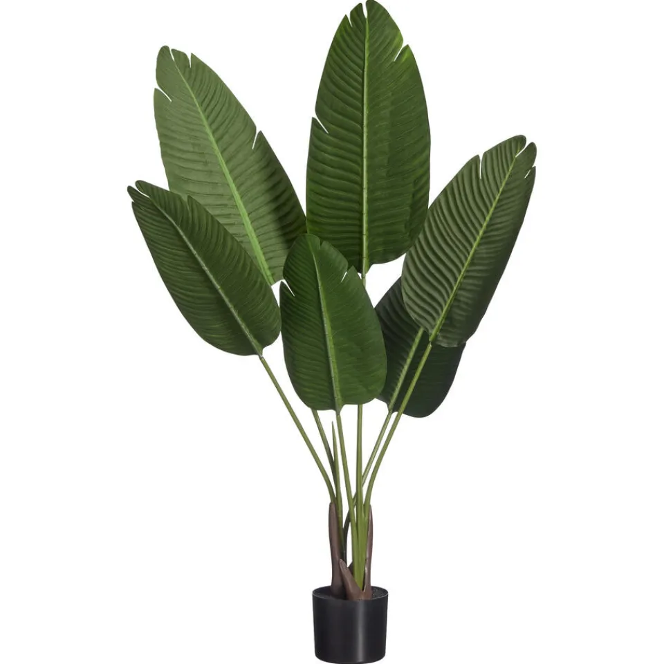 Kwantum Kunstplant Strelitzia Groen