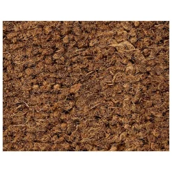 Kwantum Loper Johnston