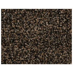 Kwantum Loper Kingston