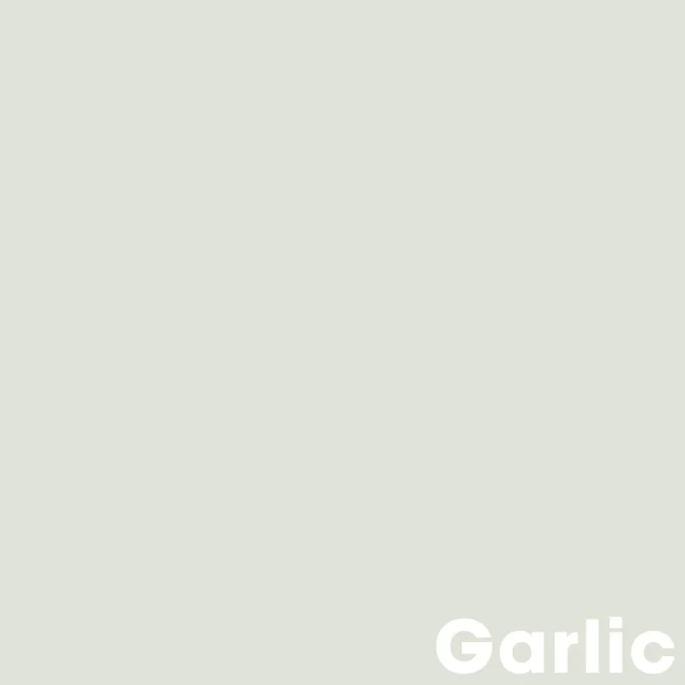 Kwantum Muurverf Professional Garlic 2.5 L