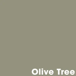 Kwantum Muurverf Professional Olive Tree 1 L